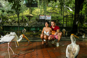 kl-bird-park-ticket-with-1-way-transfer-(shared-tour)
