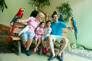 kl-bird-park,butterfly-park-and-garden-tour-(private)