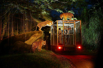 bali:-night-safari-program-with-dinner-&-private-transfers