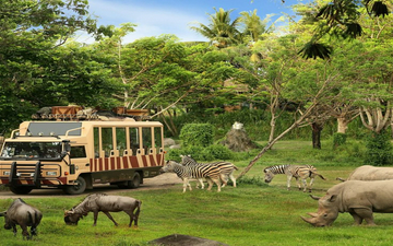bali:-rhino-safari-experience-with-meal-&-private-transfers
