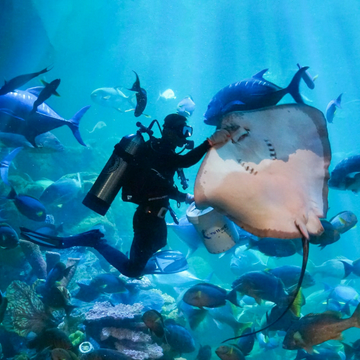 sea-world-ancol