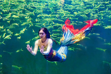 ocean-dream-samudra-at-ancol