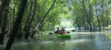 mangrove-kayaking-budget-package