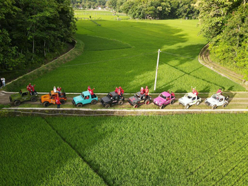 jeep-wisata-mangunan-pine-forest-–-yogyakarta