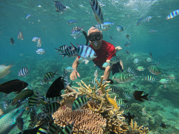 open-trip-karimunjawa-island-4-days-3-nights-–-kmp-siginjai-ferry