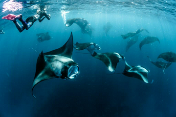 private-trip-derawan-4-days-3-nights-–-via-tanjung-batu