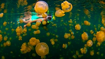 private-trip-derawan-4-days-3-nights-–-via-tarakan