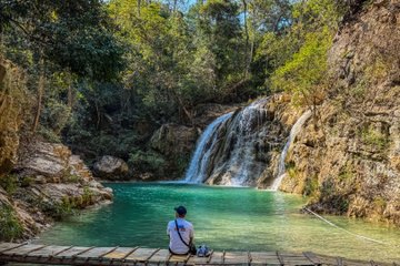 join-tour-monjam-+-elefin-farm-+-cypress-lanes-+-wat-pha-lat-+-doi-sutep-(meeting-point-at-night-bazaar-meet-the-guide-in-front-of-mcdonald’s-exchange)