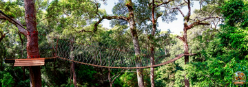 flying-tiger-zipline-chiang-mai