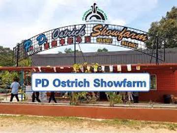 pd-ostrich-show-farm