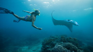 manta-ray-snorkeling-nusa-penida-–-swim-with-ocean-giants-by-manta-ray-snorkeling