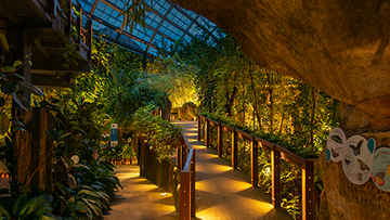 entopia-by-night