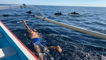 saraswati-lovina-dolphin-tour-–-sunrise-&-wildlife-adventure-by-saraswati-lovina-dolphin-tour