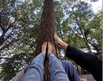 forest-bathing