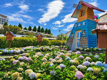 o&r-garden-cameron-highlands