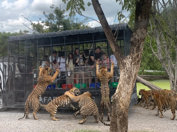 safari-world-bangkok