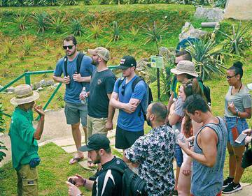 tropical-fruit-farm-penang