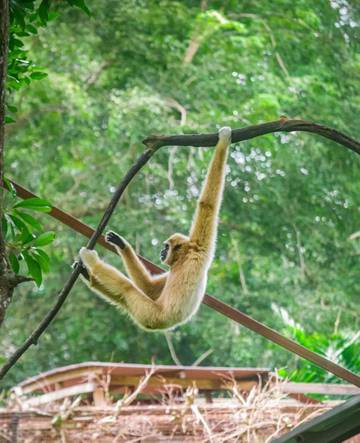 zoo-melaka