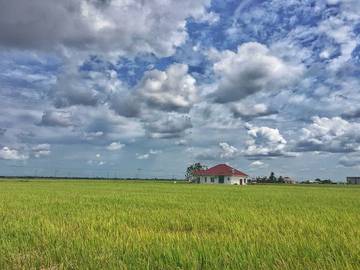 paddy-field-,-fishing-village-sekinchan-(sic---join-in-tour)