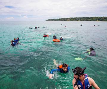 survivor-island-jungle-trek-&-snorkeling-1-day-tour