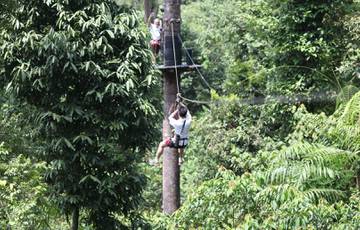 skytrex-adventure-langkawi