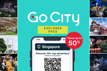 go-city:-singapore-explorer-pass