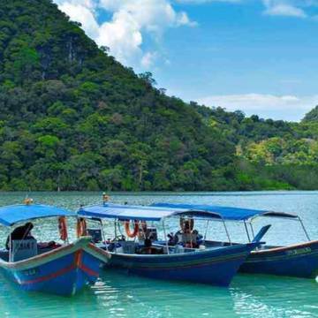 langkawi-mangrove-tours-package