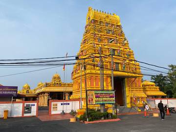 selangor-coastal-village-lifestyle-exploration-with-palm-wine,-eagle-feeding-&-firefly-tour