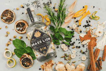 brass-lion-guided-gin-tasting-experience
