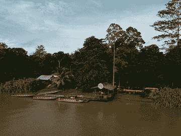 full-day-sepilok-orang-utan,-sun-bear-&-fire-flies/mangrove-cruise/village-walk-tour-(lunch/dinner)