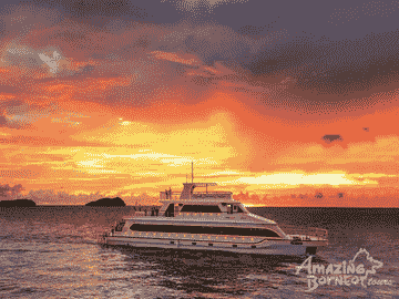 north-borneo-cruises---sunset-dinner-cruise