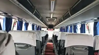 Dolphin tours and travels Bus-Seats layout Image