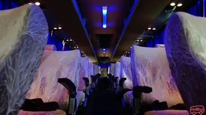 Dolphin tours and travels Bus-Seats Image