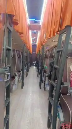 Dolphin tours and travels Bus-Seats layout Image