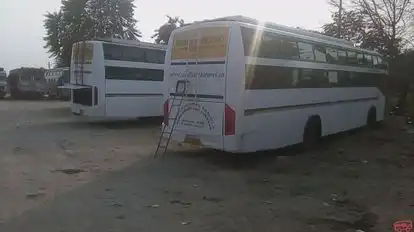 Siddharth Travels Bus-Seats Image