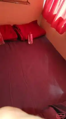 Gajraj bus service Bus-Seats Image