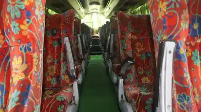 Sky Bus Bus-Seats Image