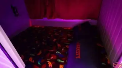 Jain Pareek Travels Bus-Seats Image