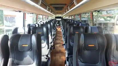Bedi Travels Bus-Seats layout Image