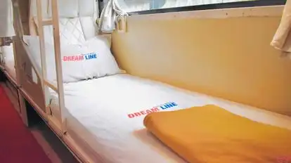 Dream Line Travels Pvt Ltd Bus-Seats Image