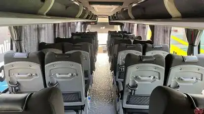 Greenline Bus-Seats Image