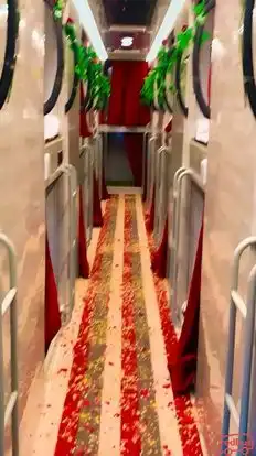 Devraj Travels Bus-Seats Image