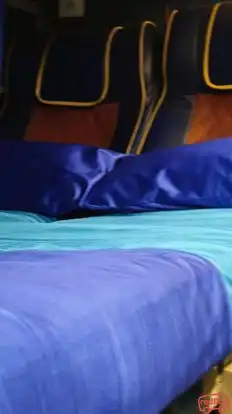 Dharmashree Travels Bus-Seats Image