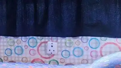 Maruti Darshan Travels Bus-Amenities Image