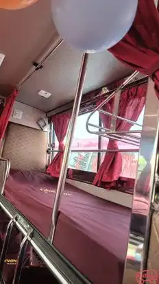 Jio Dolphin Travels Bus-Seats Image