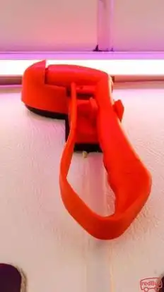 Dhanunjaya Travels Bus-Seats Image