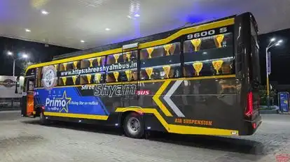 Shree Shyam Bus Bus-Seats layout Image