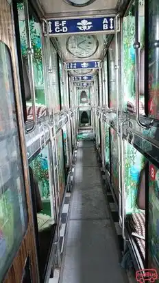 Shree Dattkrupa Travels Bus-Seats layout Image