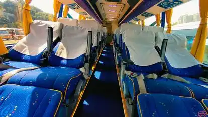 SAAM BUS Bus-Seats layout Image