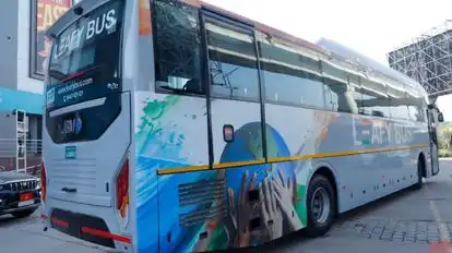 Leafy Bus Bus-Seats layout Image